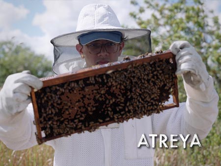 Watch Atreya's video: Save the Bees